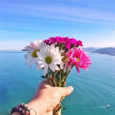 幻龙战记bt版下载