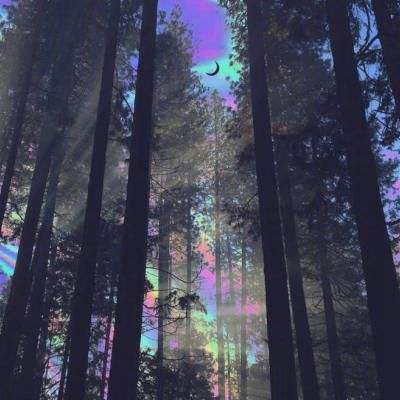 愤怒的小鸟变形金刚解锁版(付费解锁)下载