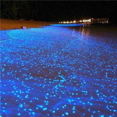 双仙伏魔录破解版下载
